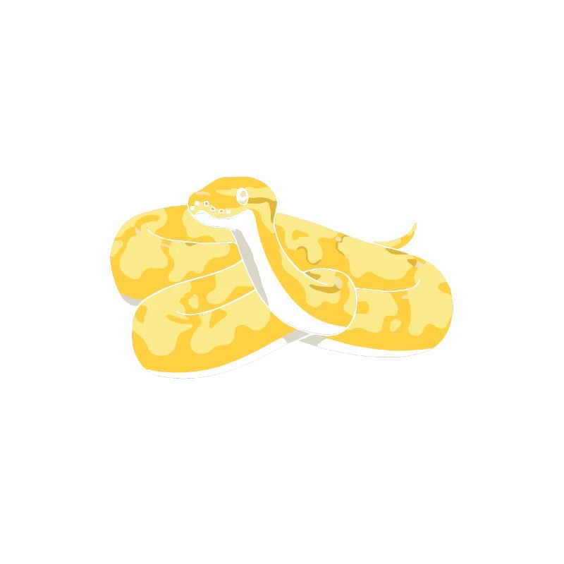 Damen Banana Ball Python Spruch