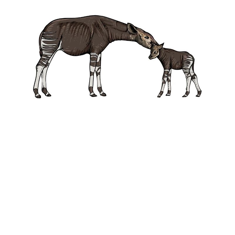 Okapi I girafe de la forêt tropicale pour