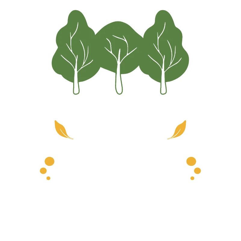 Deciduous Tree Nature Conservation Camping Mountains Forest