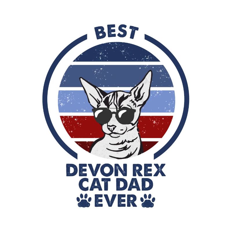 Papa chat - Devon Rex Chat