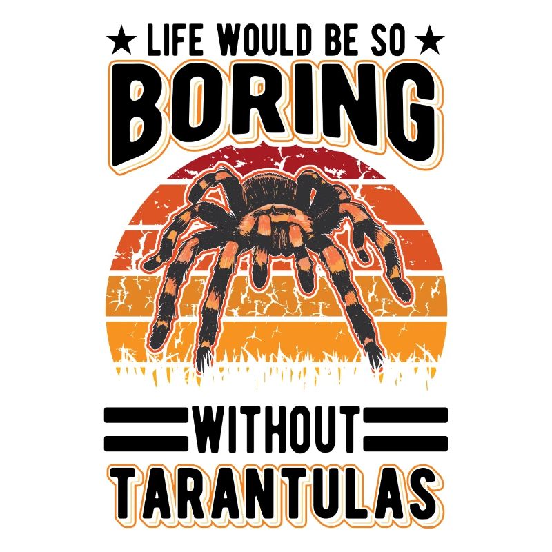 Tarantula Spider Tarantula