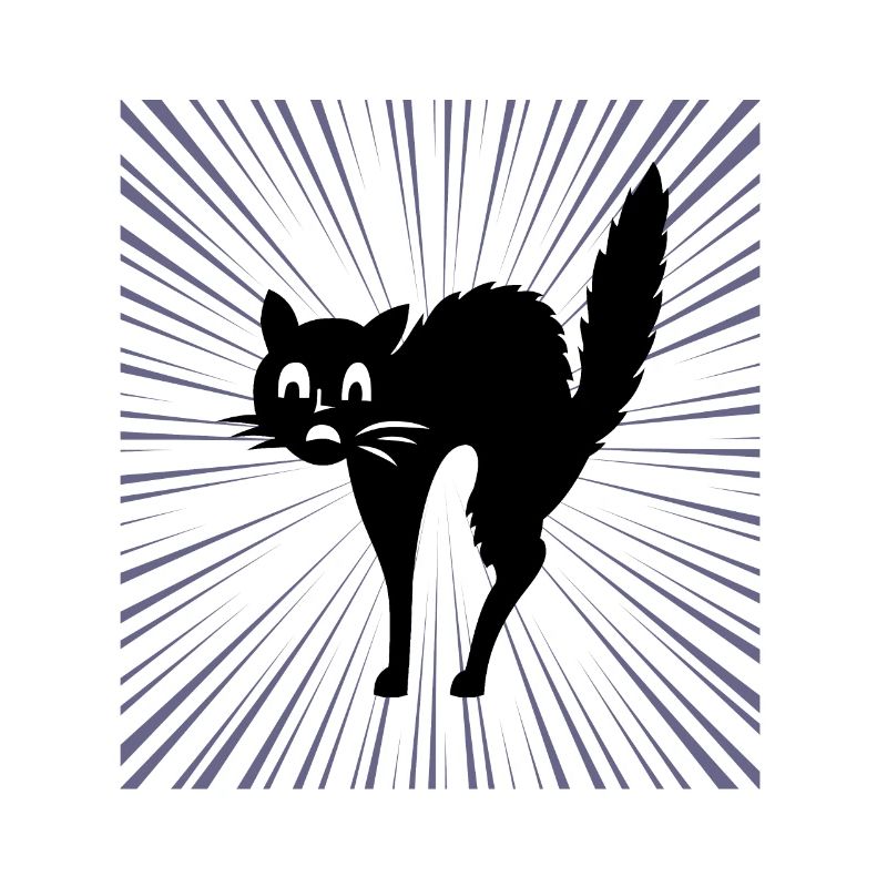 Chat noir