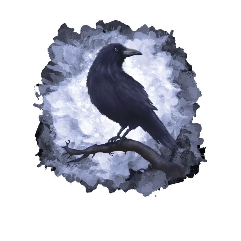 Rabe Krähe Goth