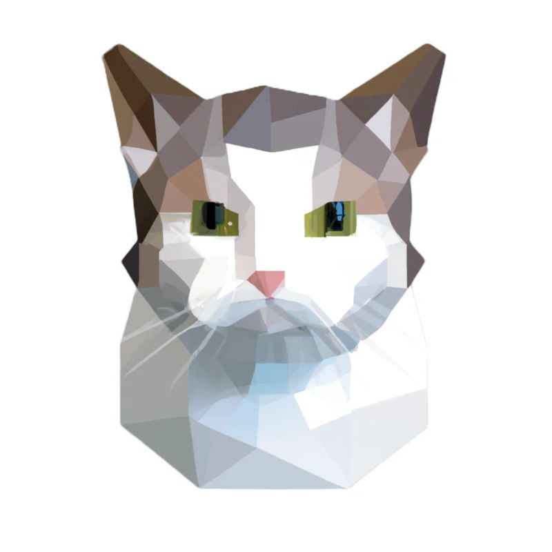 chat mignon bas poly chat blanc gris