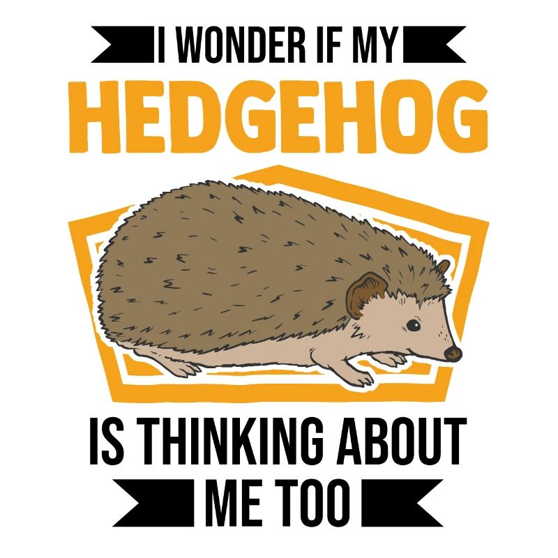 Igel Geschenk Stacheligel