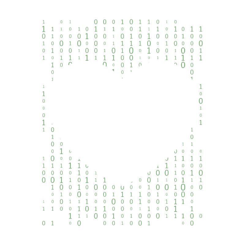 Developer Coder Programmer
