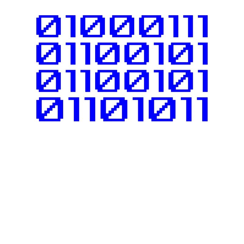 Funny Coder Binary Code Programmer Développeur