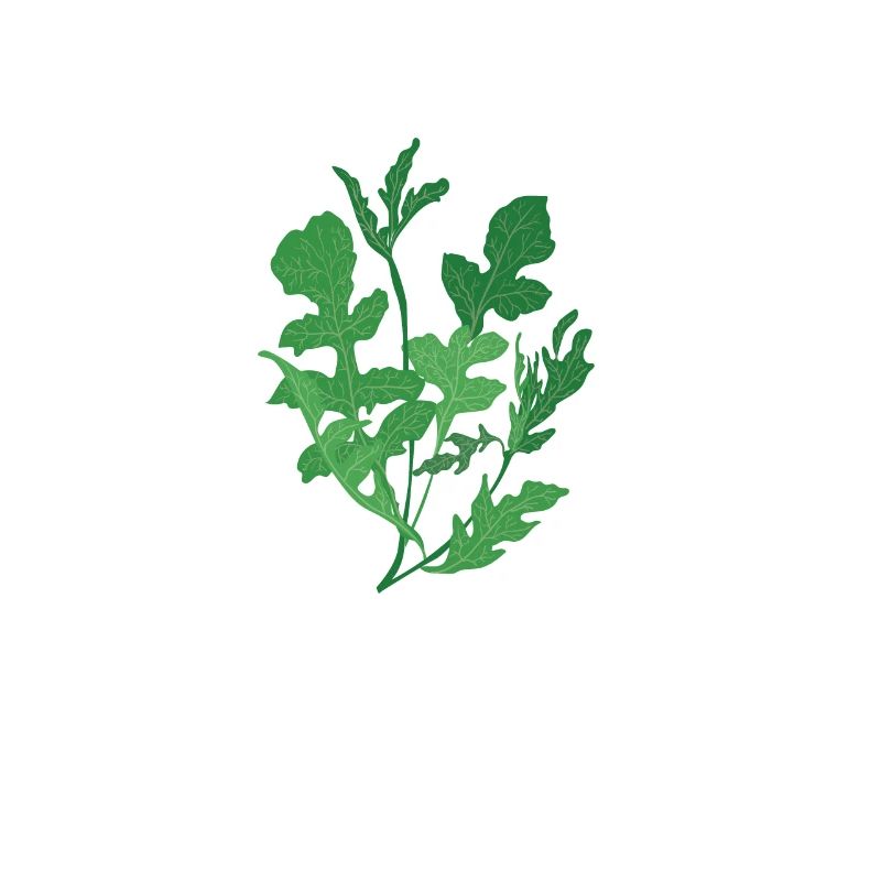 Rucola-flüsterer