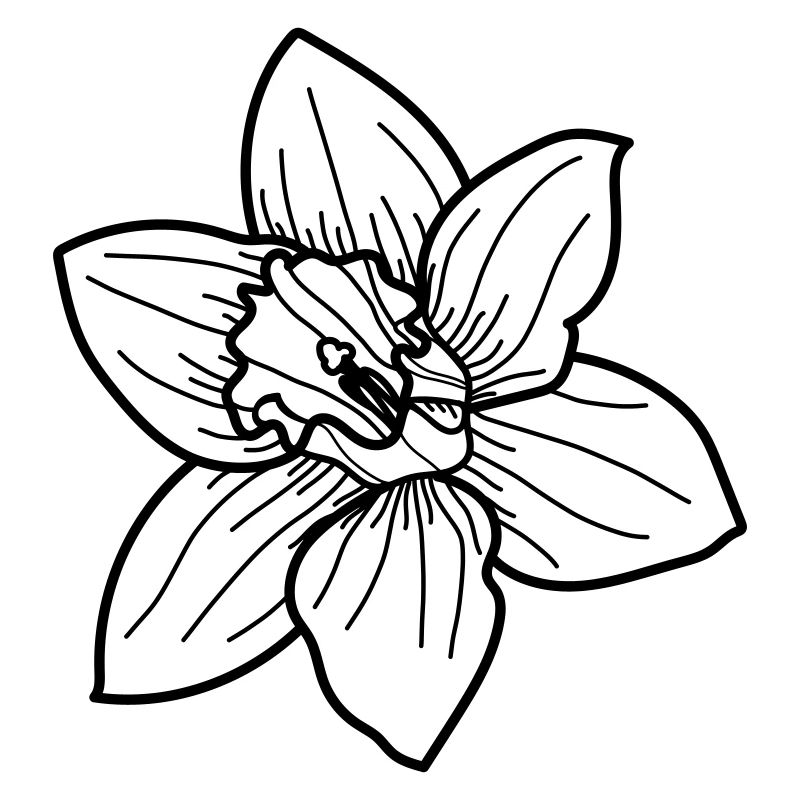 simple Wildblume