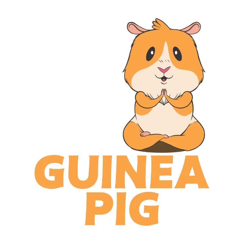 Cochon d’Inde Cadeau Pet Cochon d’Inde