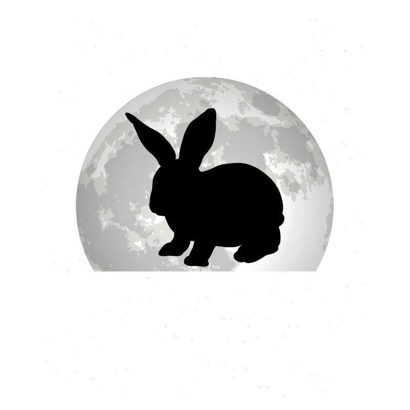 Rabbit Moon Bunny Rabbit