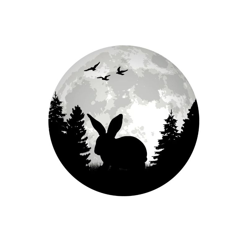 Rabbit Moon Bunny Rabbit