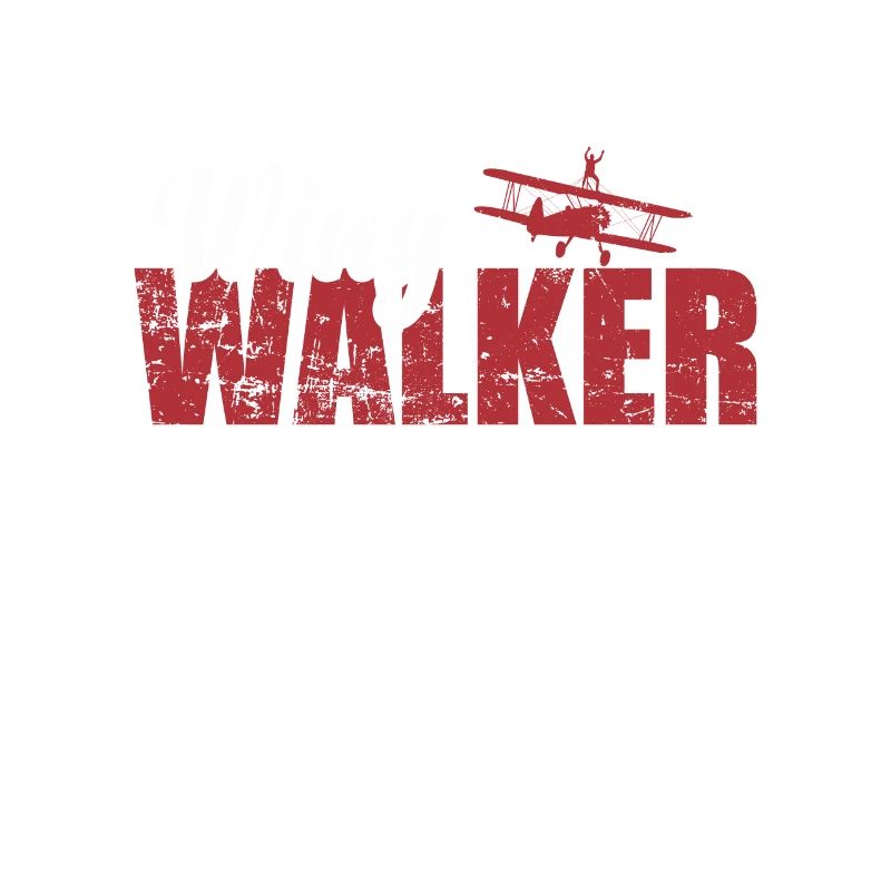 Wing Walker daredevil hobby
