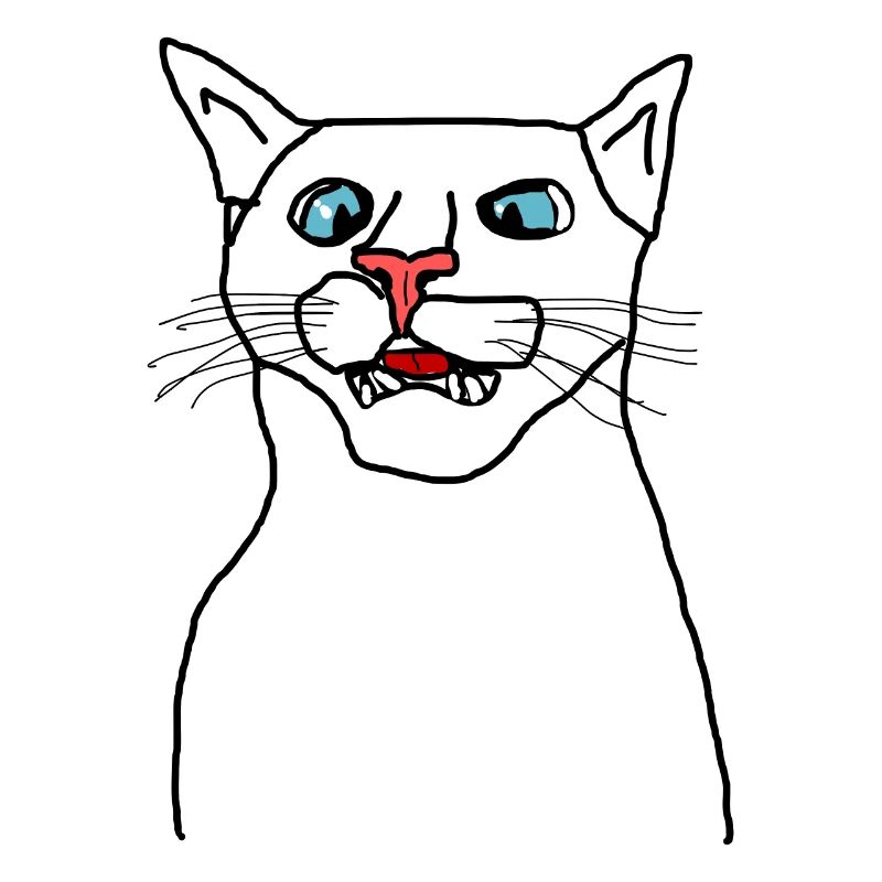 Chat