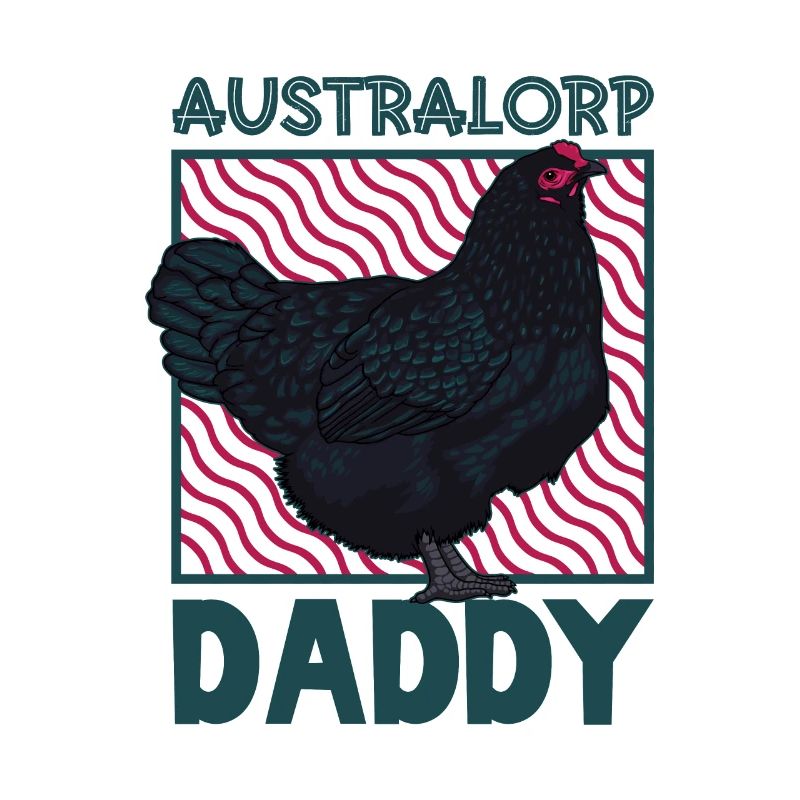 Australorp Papa