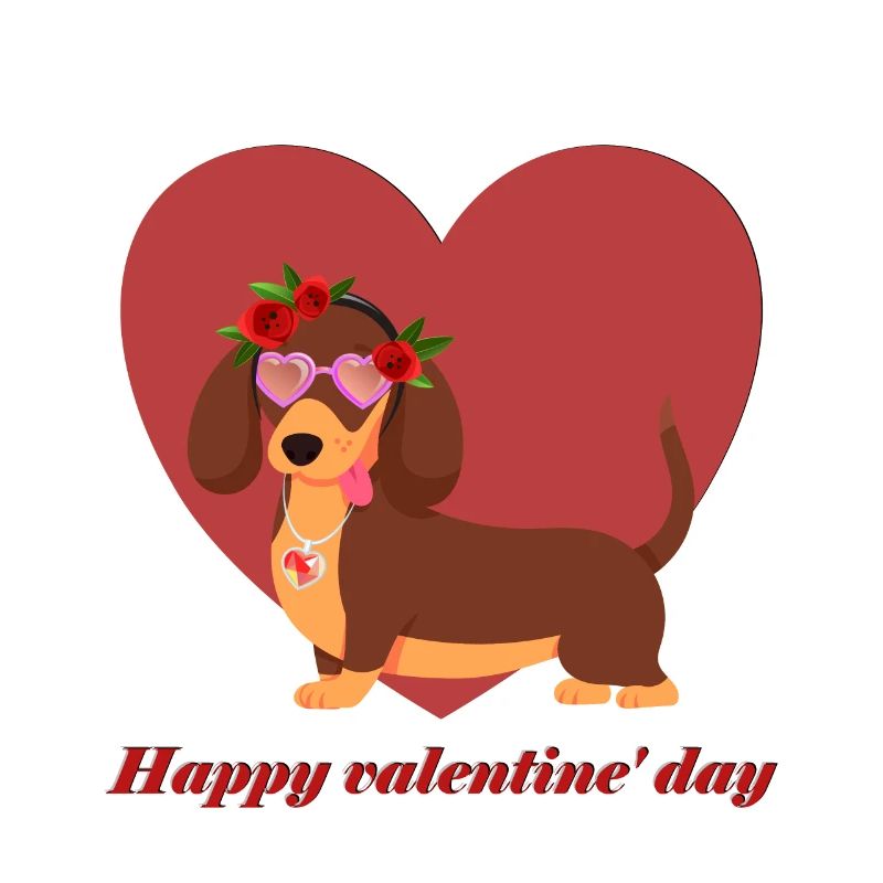teckel, amour, saint valentin, saint valentin