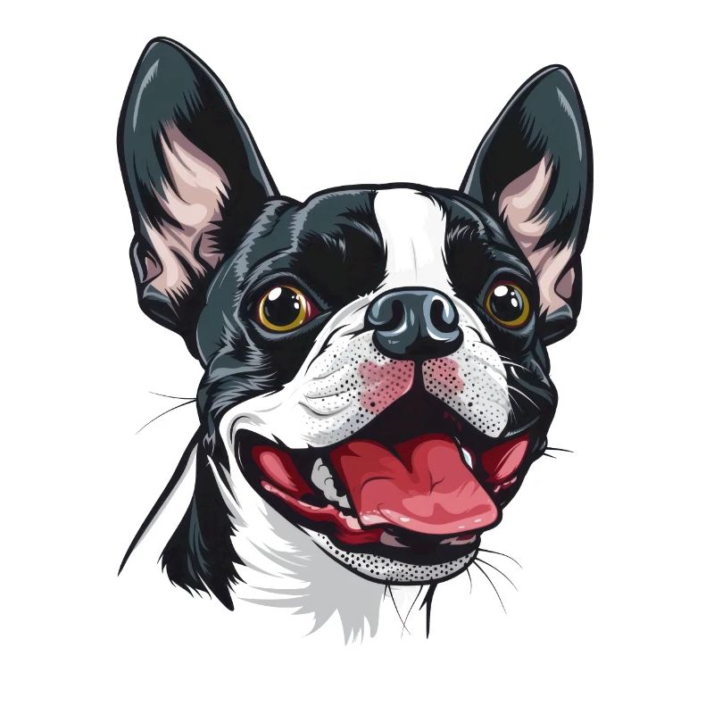 Terrier de Boston | Illustration de dessin animé