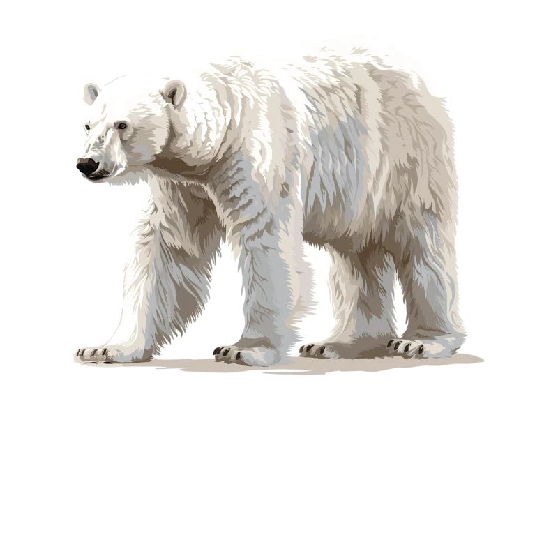 Polar Bear Eisbären Eisbär