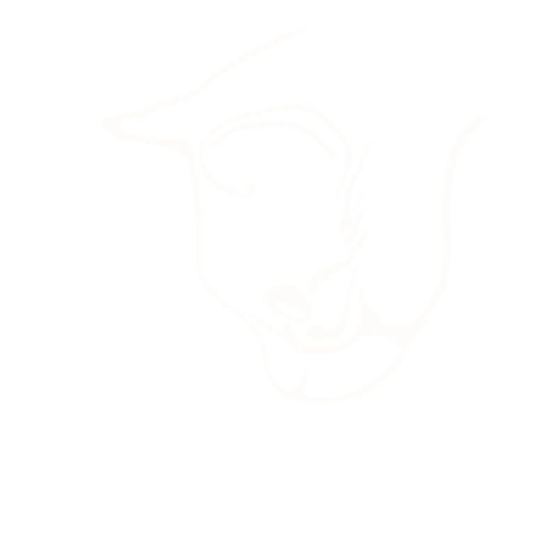 Conception graphique de visage de chat