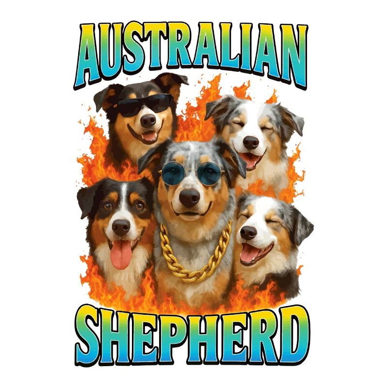 Australischer Schäferhund