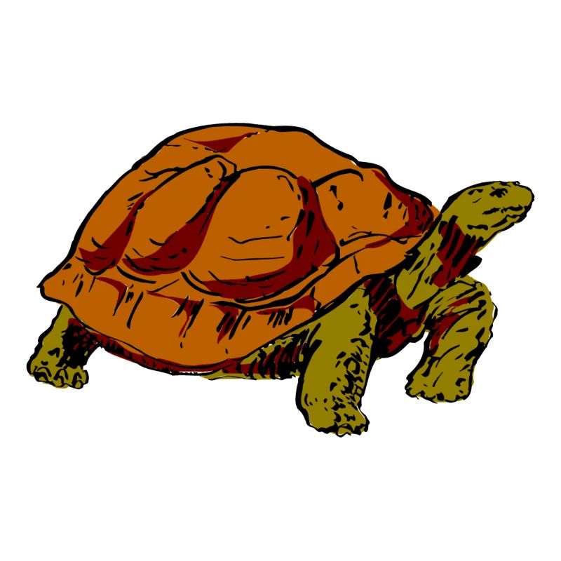 Schildkröte