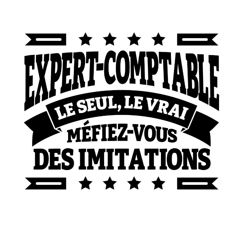EXPERT COMPTABLE LE SEUL LE VRAI