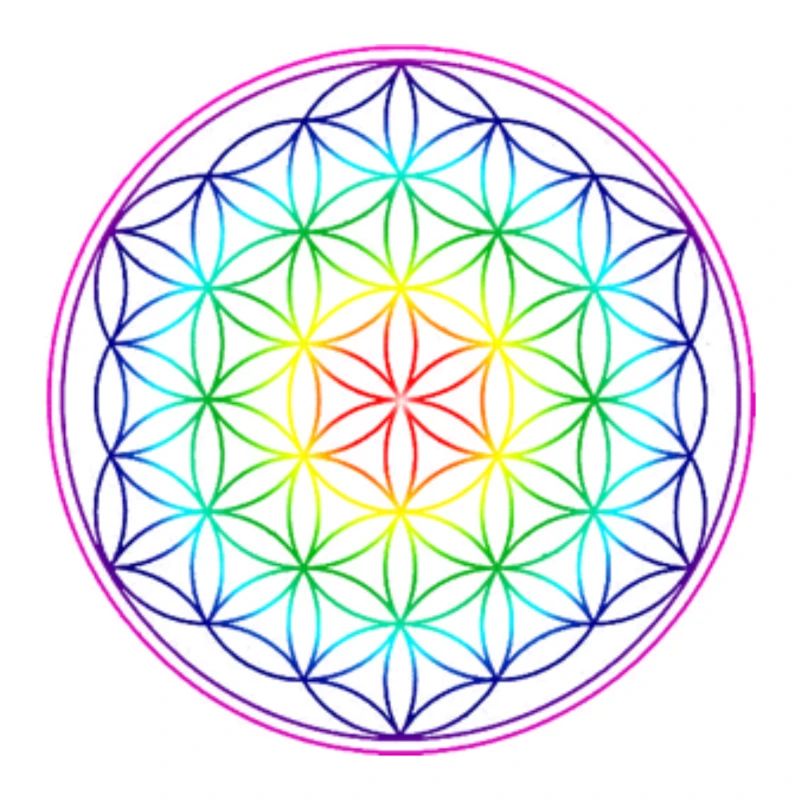 REGENBOGENBLUME DES LEBENS