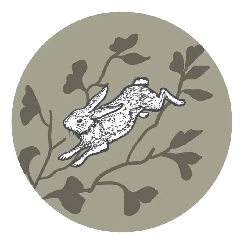 Rabbit on the moon
