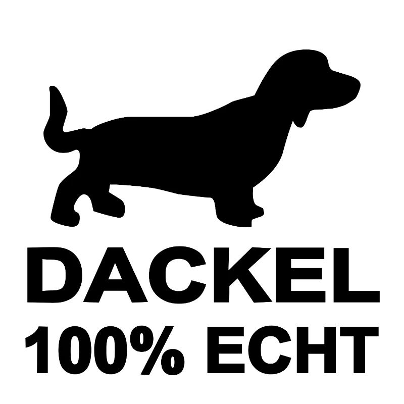 Dachshund