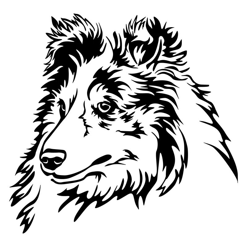 Sheltie Kopf