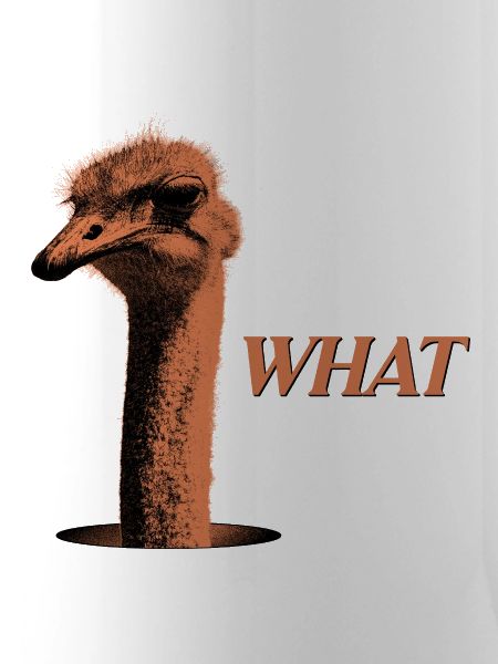 What?! – Grummelnder Strauß