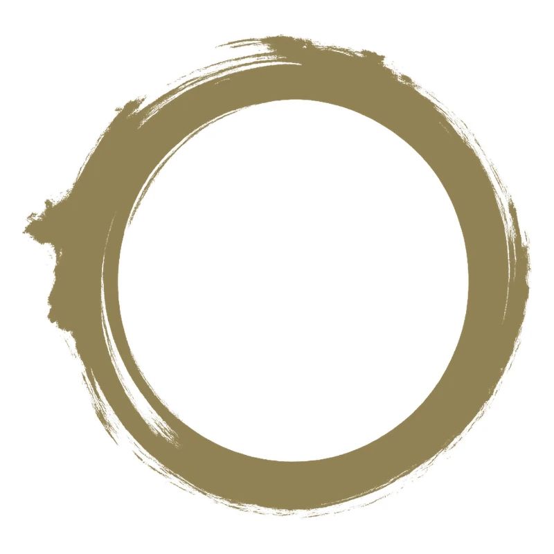 Black Hole Universe Silhouette Minimal Physics