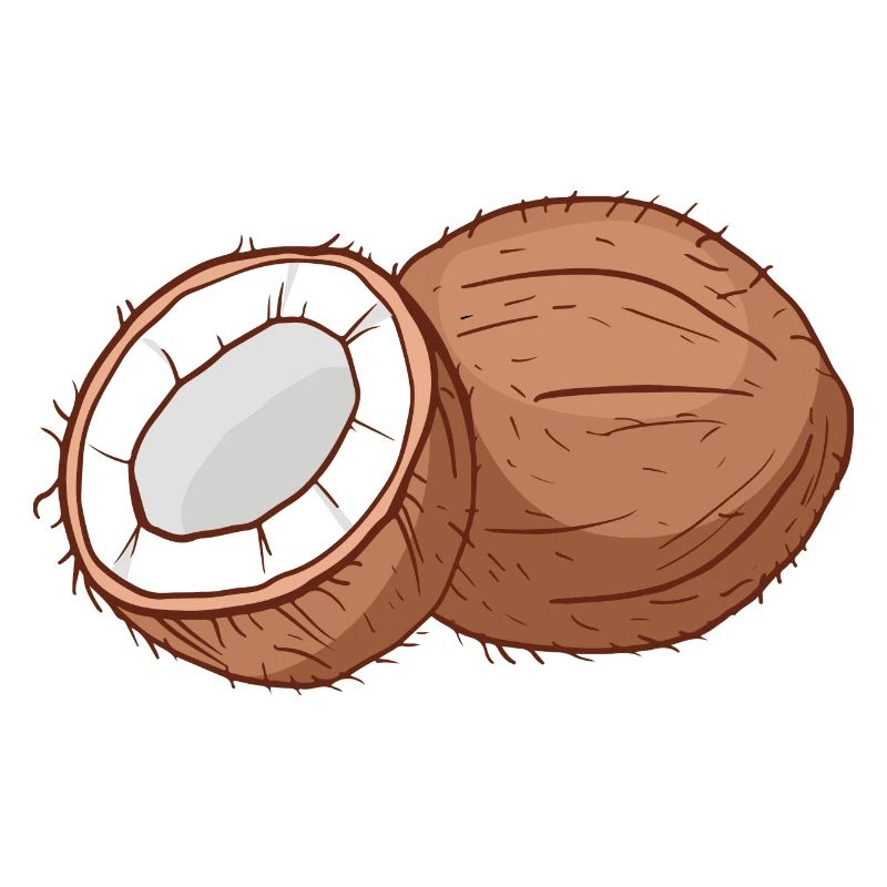 Cocotier Cocosque coconse cocons