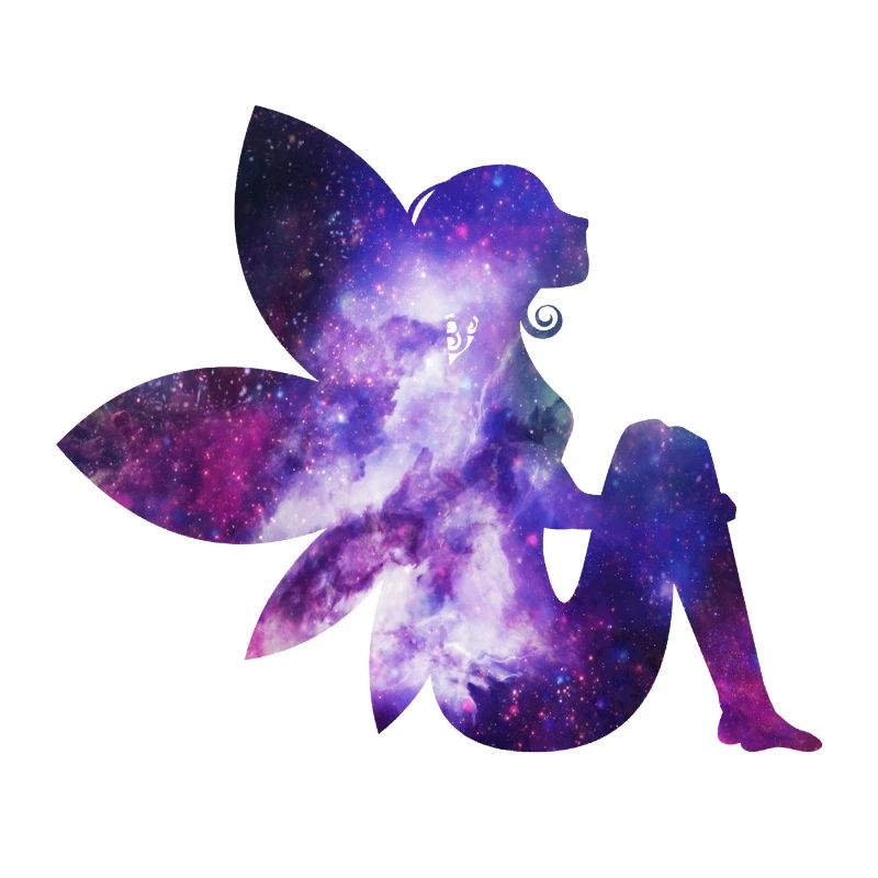 Fee Galaxy