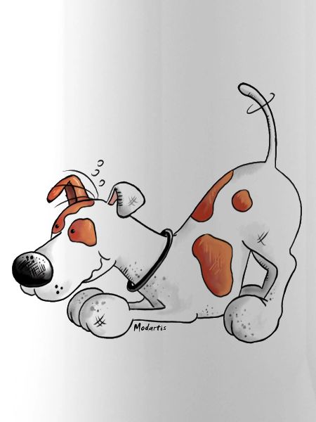 Jack Russell Terrier - Hund