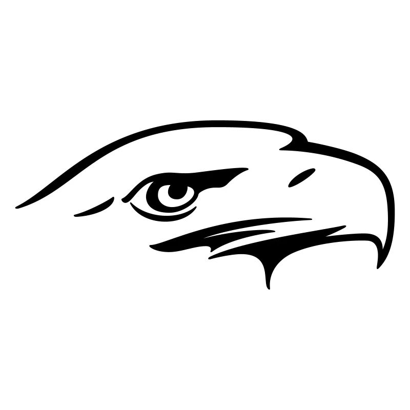 Eagle eye - Illustration vectorielle