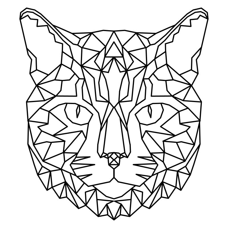 Cat Geometric