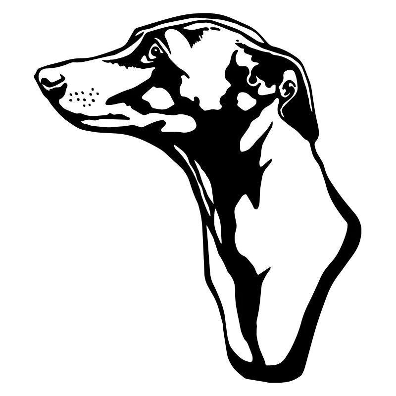 greyhound BACKGROUND