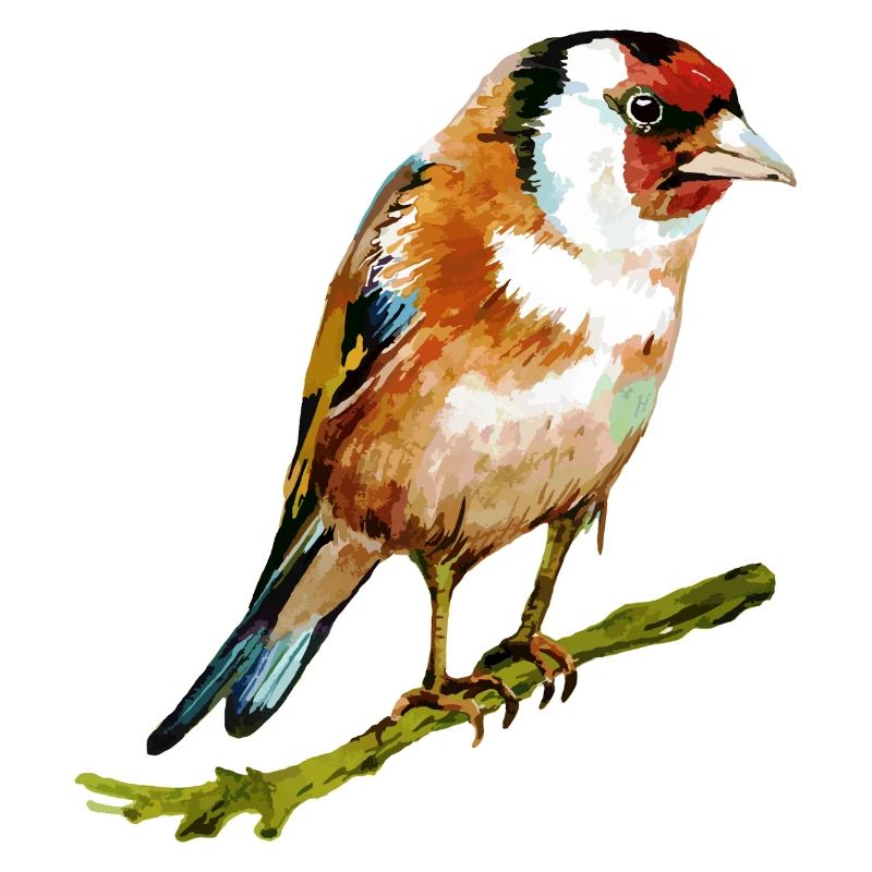 Bunter Vogel