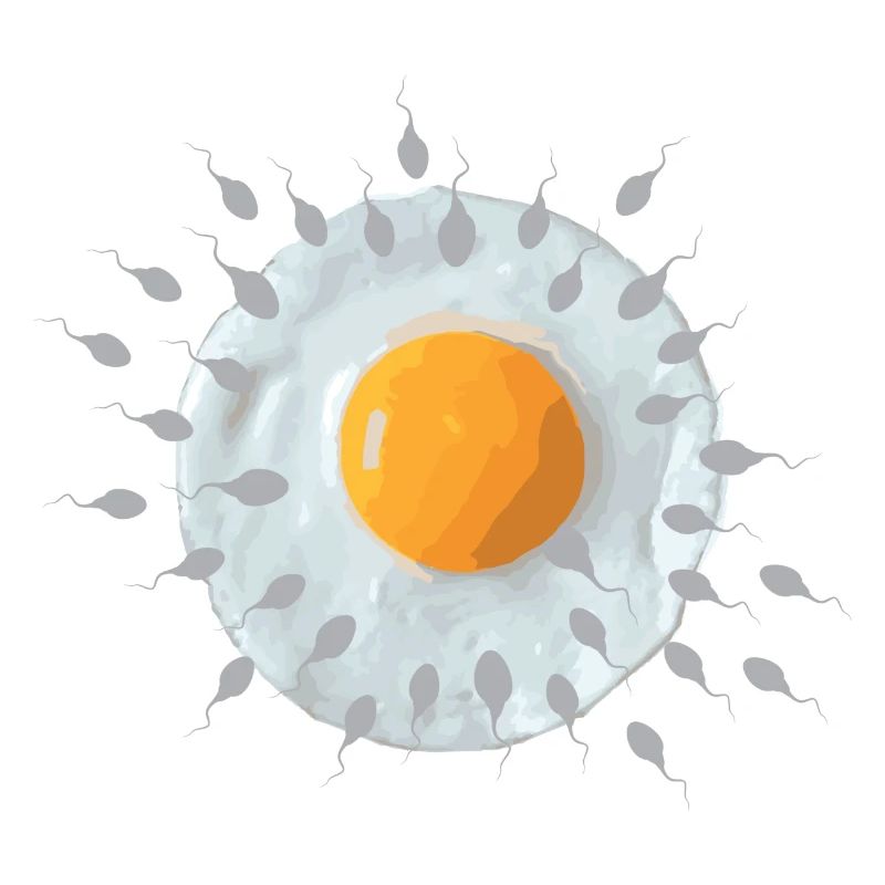 Frühstücksei
