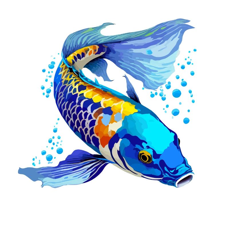 Koi-Karpfen