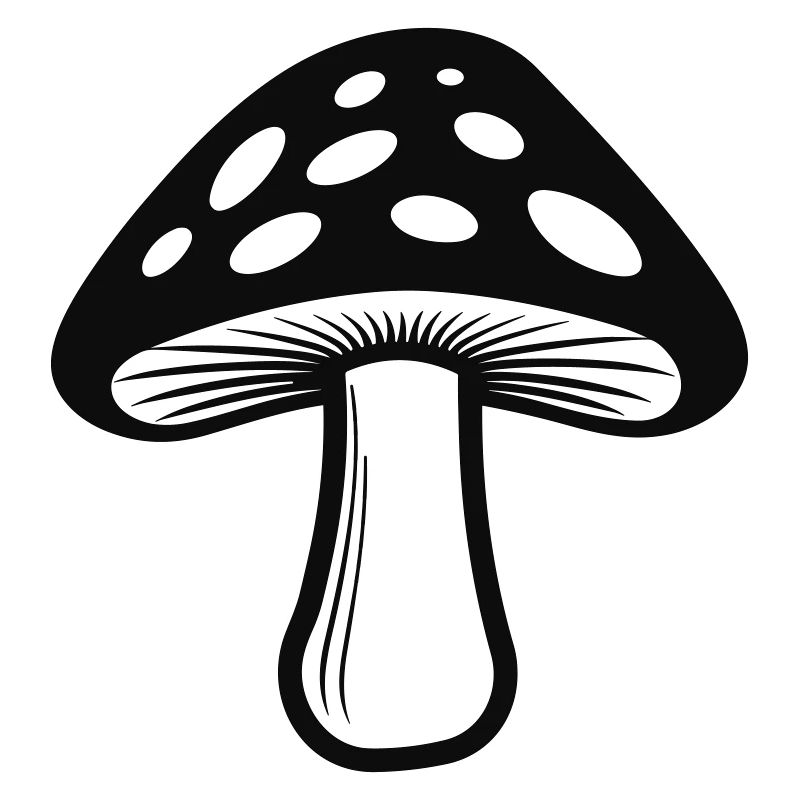 champignon
