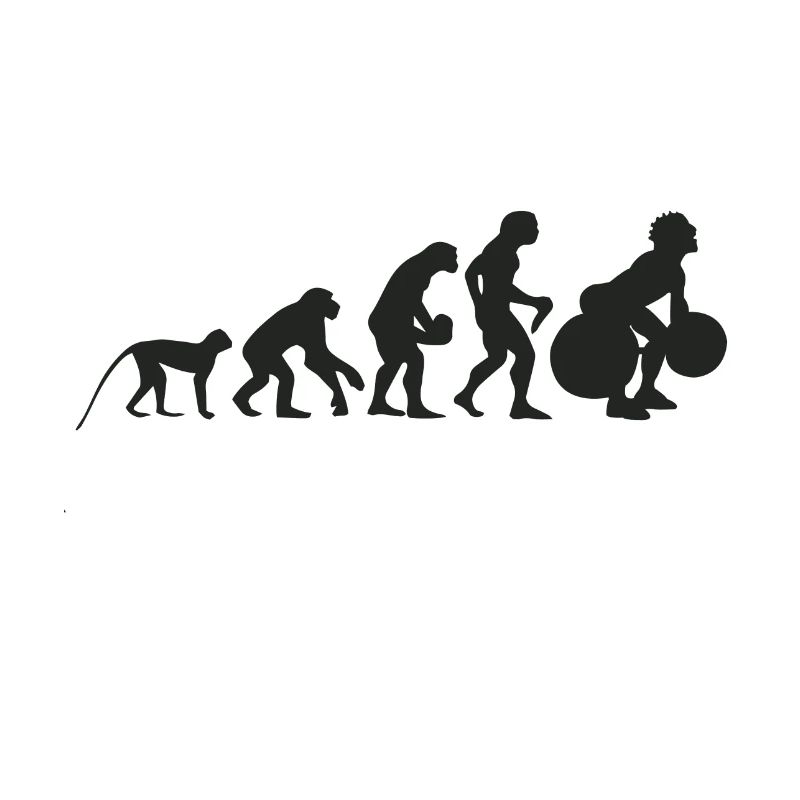 Évolution du poids et haltères