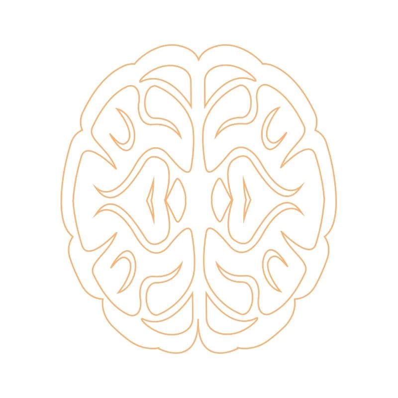 Brain01