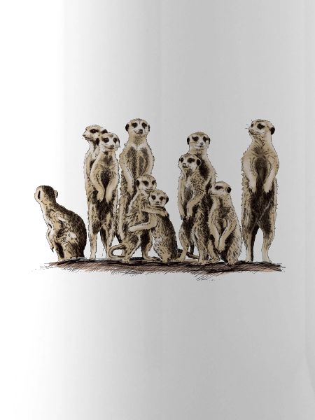 Erdmännchen