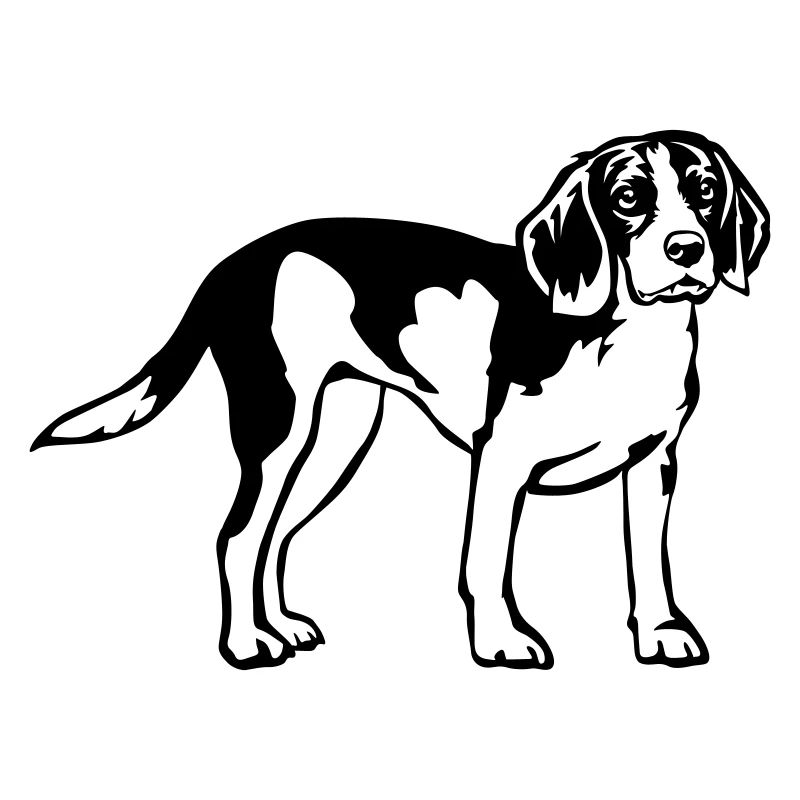 Beagle