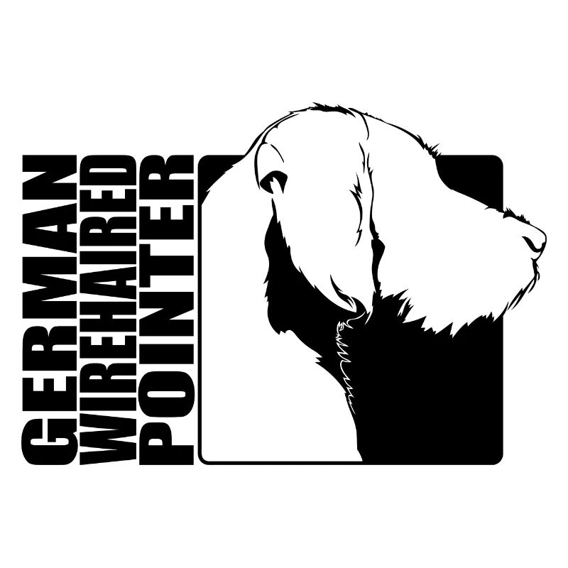 German Wirehaired Pointer Profil Jagdhund Wilsigns