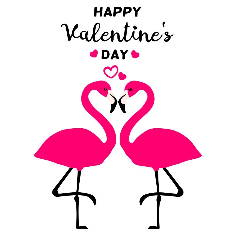 Flamants roses Saint-Valentin