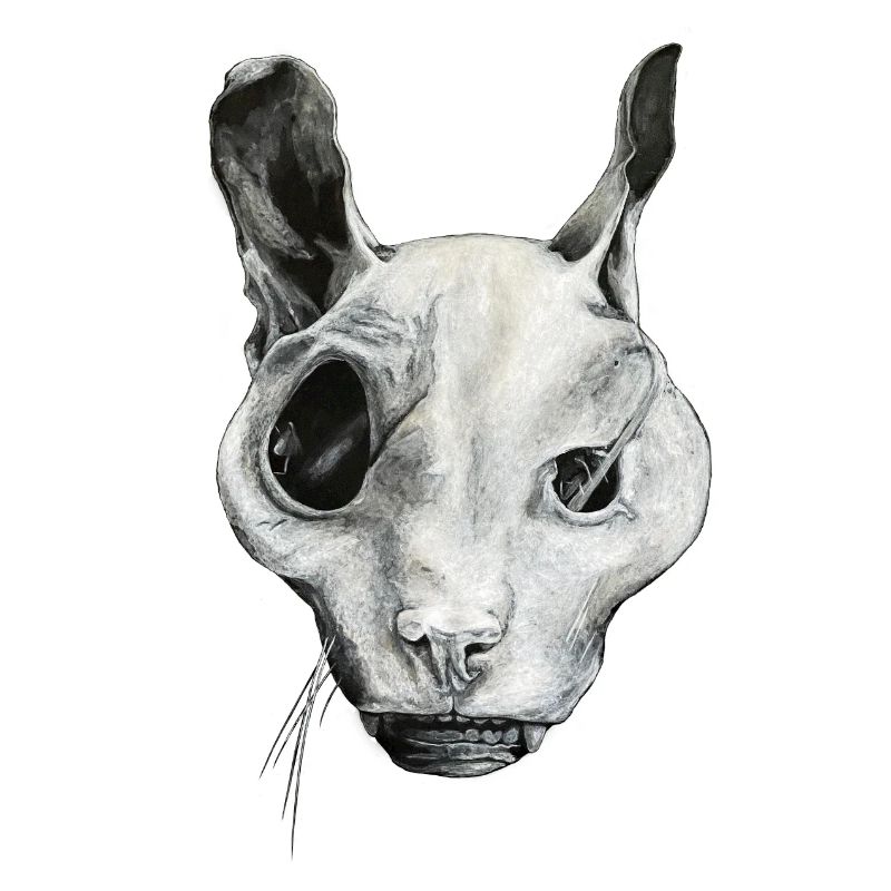 THE GHOST CAT