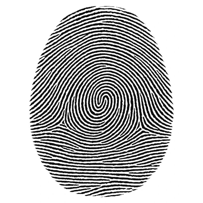 Fingerprint Pattern Noir